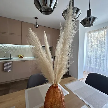 The Circle * スコピエ