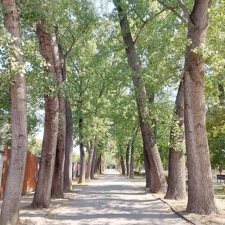 The Circle * スコピエ