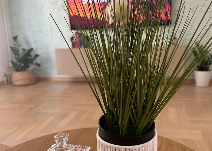 Appartamento The Circle